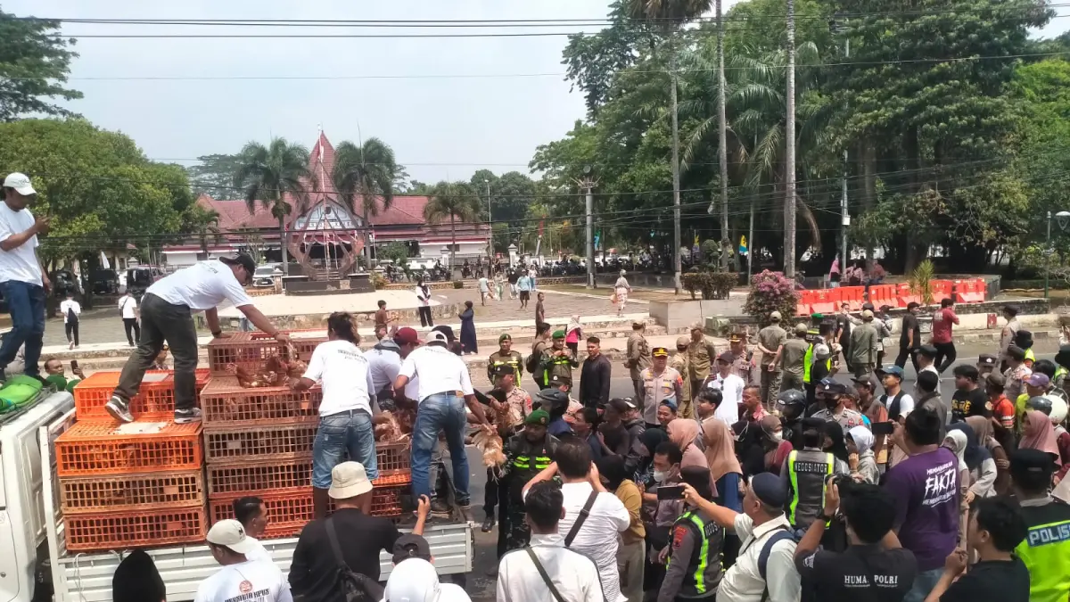 BAGIKAN AYAM: Massa aksi Aliansi Peternak Ayam Petelur Kabupaten Pekalongan membagikan ayam kepasa warga usai menggelar demonstrasi, Senin (10/8/2026). 