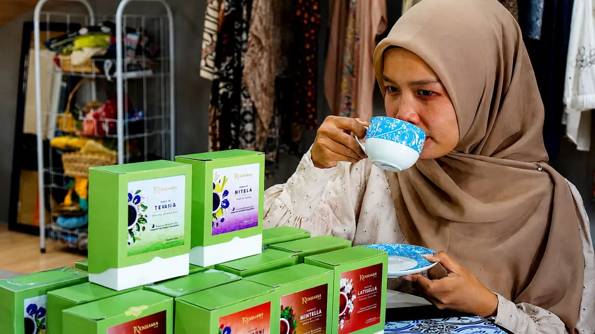SERUPUT : Menyeruput teh telang, dari tanaman yang sudah diolah dengan sedemian ruppa sehingga memiliki berbagai macam khasiat .(IST)