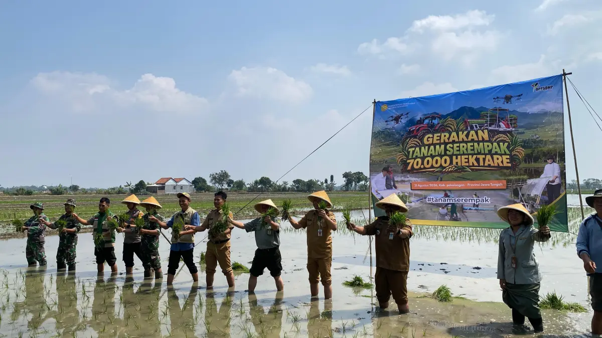 TANAM SEREMPAK: DKPP Kabupaten Pekalongan saat Tanam Serempak di Desa Sumub Lor, Kecamatan Sragi, Senin (31/8/2026). 