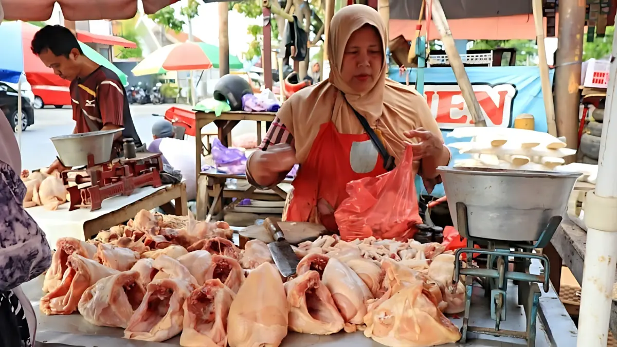 MELAYANI PEMBELI : Salah satu pedagan ayam potong di pasar Tradisional di Kota Pekalongan saat melayani pembeli. (Lutfi Hanafi/Jawa Pos Metro Pekalongan)