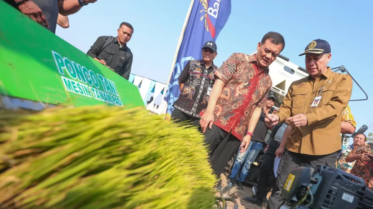 Gubernur Ahmad Luthfi melakukan panen raya padi di Desa Kedungbanjar, Kecamatan Taman, Kabupaten Pemalang, Kamis, 3 September 2026.