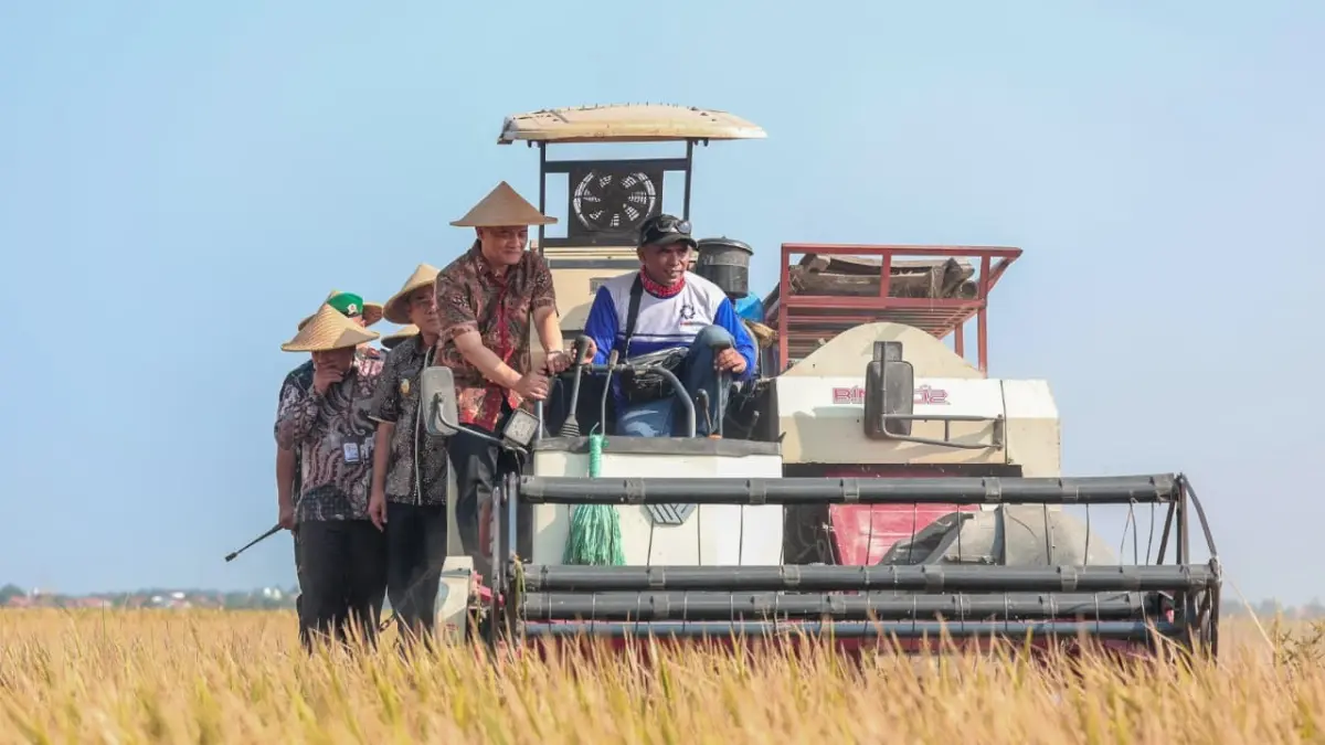 Gubernur Jateng, Ahmad Luthfi  panen raya padi di Desa Kedungbanjar, Kecamatan Taman, Kabupaten Pemalang, Kamis, 3 September 2026.