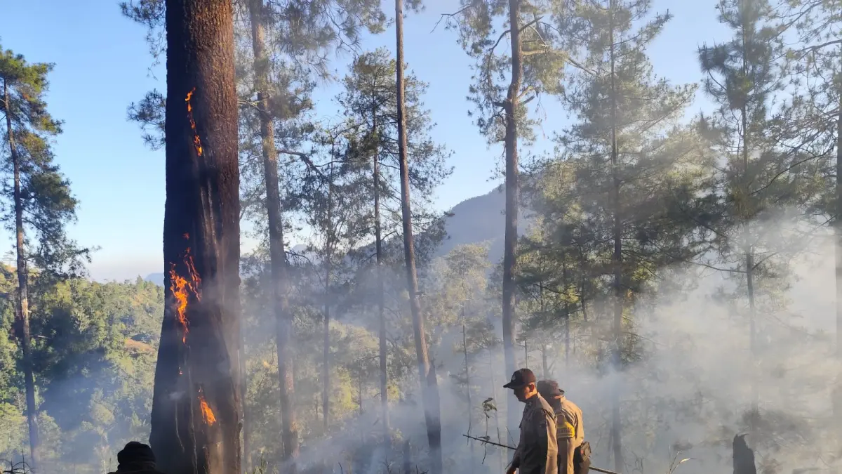 PEMADAMAN: Tim gabungan ketika berjibaku memadamkan api yang membakar hutan pinus di kawasan Petungkriyono, Kabupaten Pekalongan.