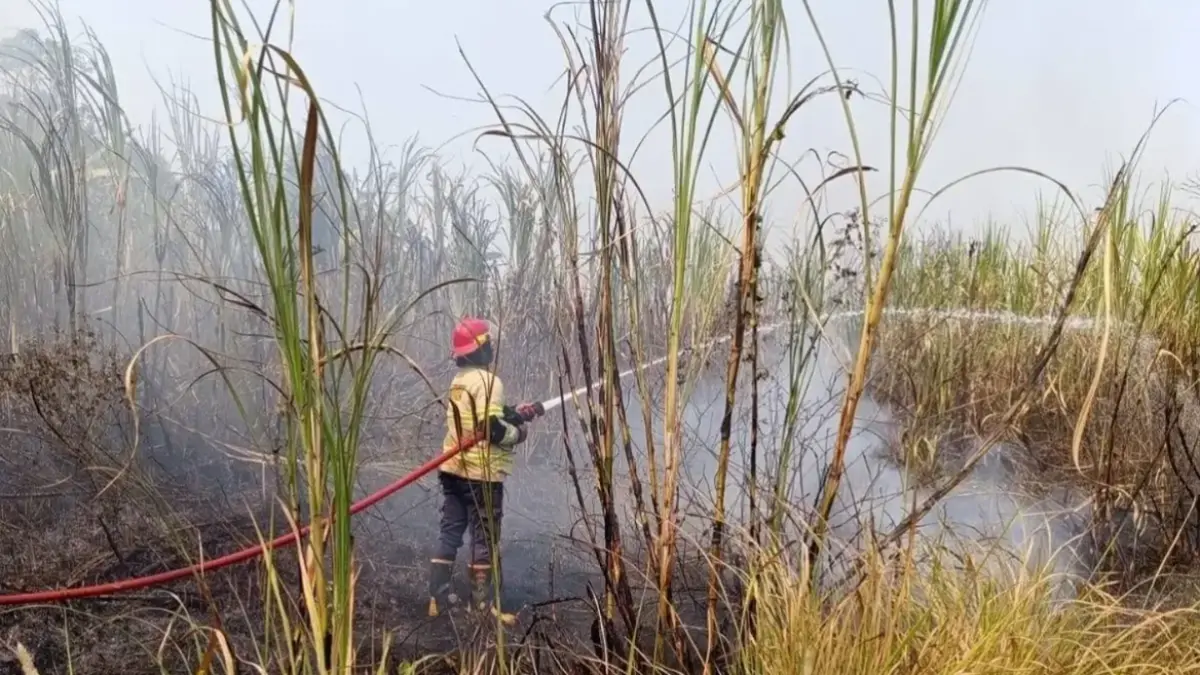 KEBAKARAN: Petugas saat memadamkan api di lahan tebu di Kabupaten Batang.
