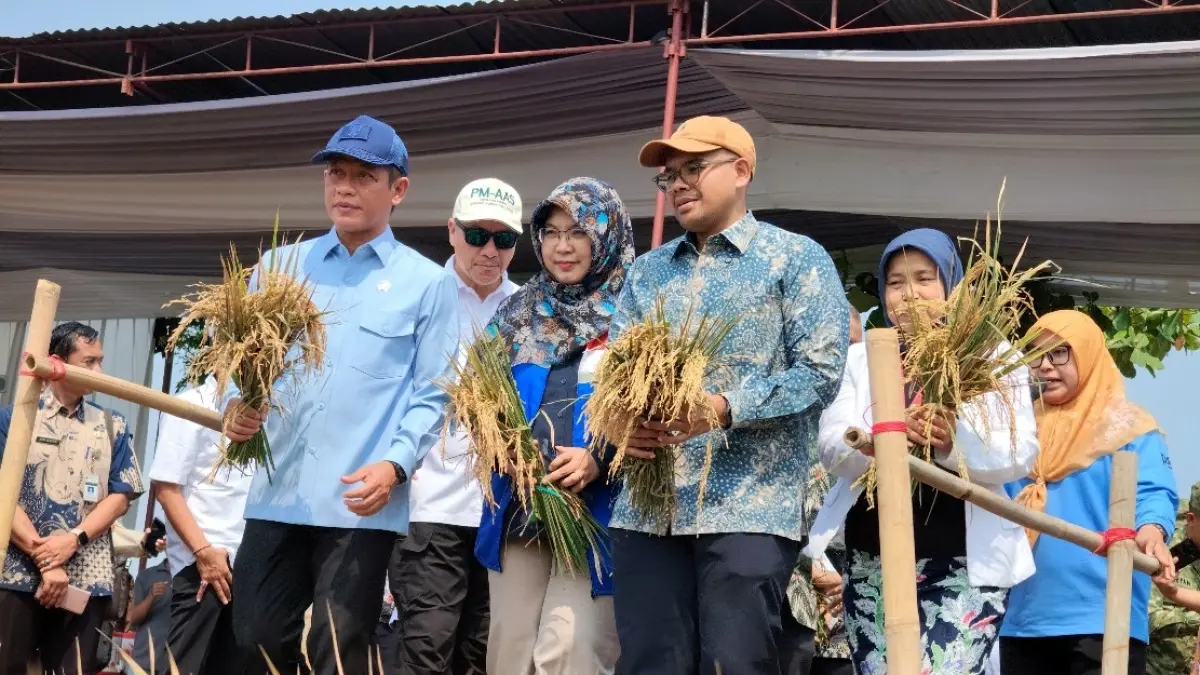 BIOSALIN: Para pejabat publik saat melakukan panen raya padi biosalin di lahan rob Kecamatan Batang.
