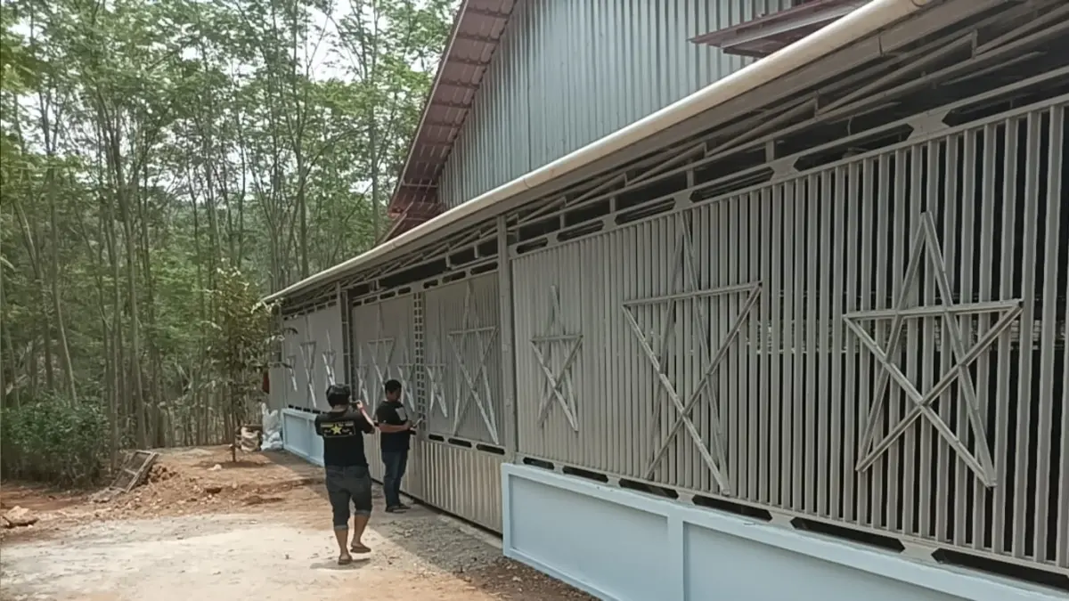 Polisi Cek Lokasi Dugaan Judi Sabung Ayam di Batang