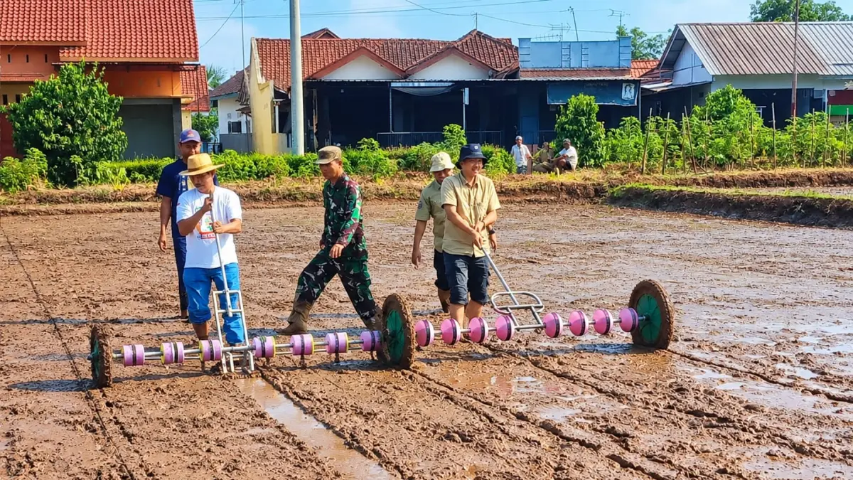 TANAM: Kepala DKPP Kabupaten Pekalongan Yudhi Himawan saat ikut terlibat langsung gerakan tanam PM AAS di Kecamatan Kajen, Selasa (22/9/2026).
