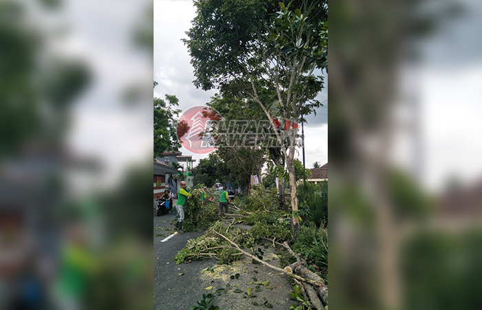 TERBUKA: Personel DLH Kabupaten Blitar melakukan pemangkasan dahan di Jalan Raya Salak Pandean, Kecamatan Wlingi.