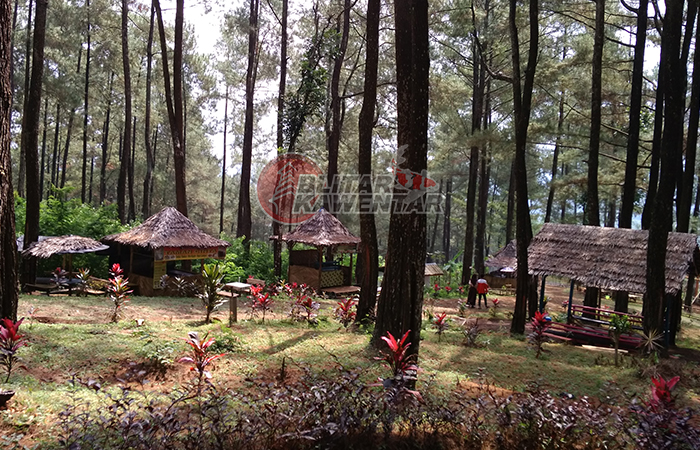 Taman cinta gogoniti