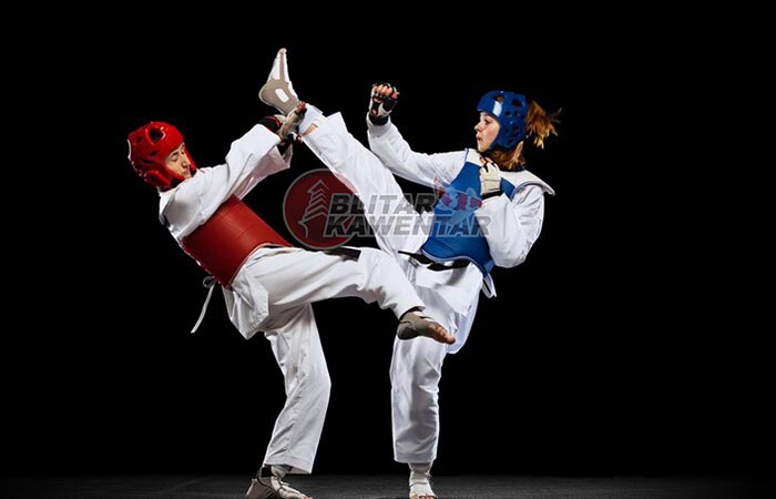 Pengurus Kabupaten (Pengkab) Taekwondo Blitar masih berumur sekitar 1 tahun.