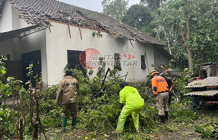 TAK ADA KORBAN JIWA: Petugas BPBD dan polisi membersihkan pohon yang tumbang diterjang angin, senin (25/12).