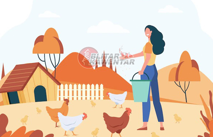Ilustrasi Peternak