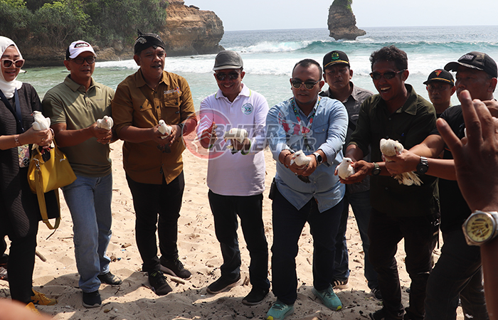 SiIMBOLIS: Kades Ngadipuro Eko Wahyudi (paling kanan) bersama tamu undangan melakukan pelepasan burung merpati sebagai simbol dibukanya wisata Pantai Pudak dan Songgolangit Ocean View Camp.