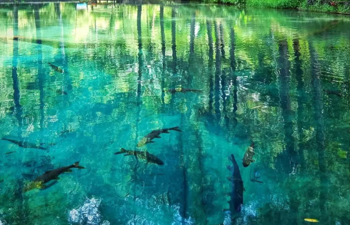 wisata kali ini sangat menjadi sorotan dari semua kalangan orang