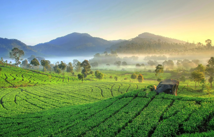 wisata yang ada di blitar cocok banget untuk healing dengan menimakti keindahan alam