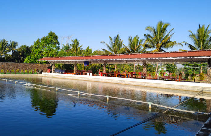 The Dardak 88 memiliki tempat yang luas, pemandangan indah dan suasa sejuk asri Sehingga cocok buat bersantai