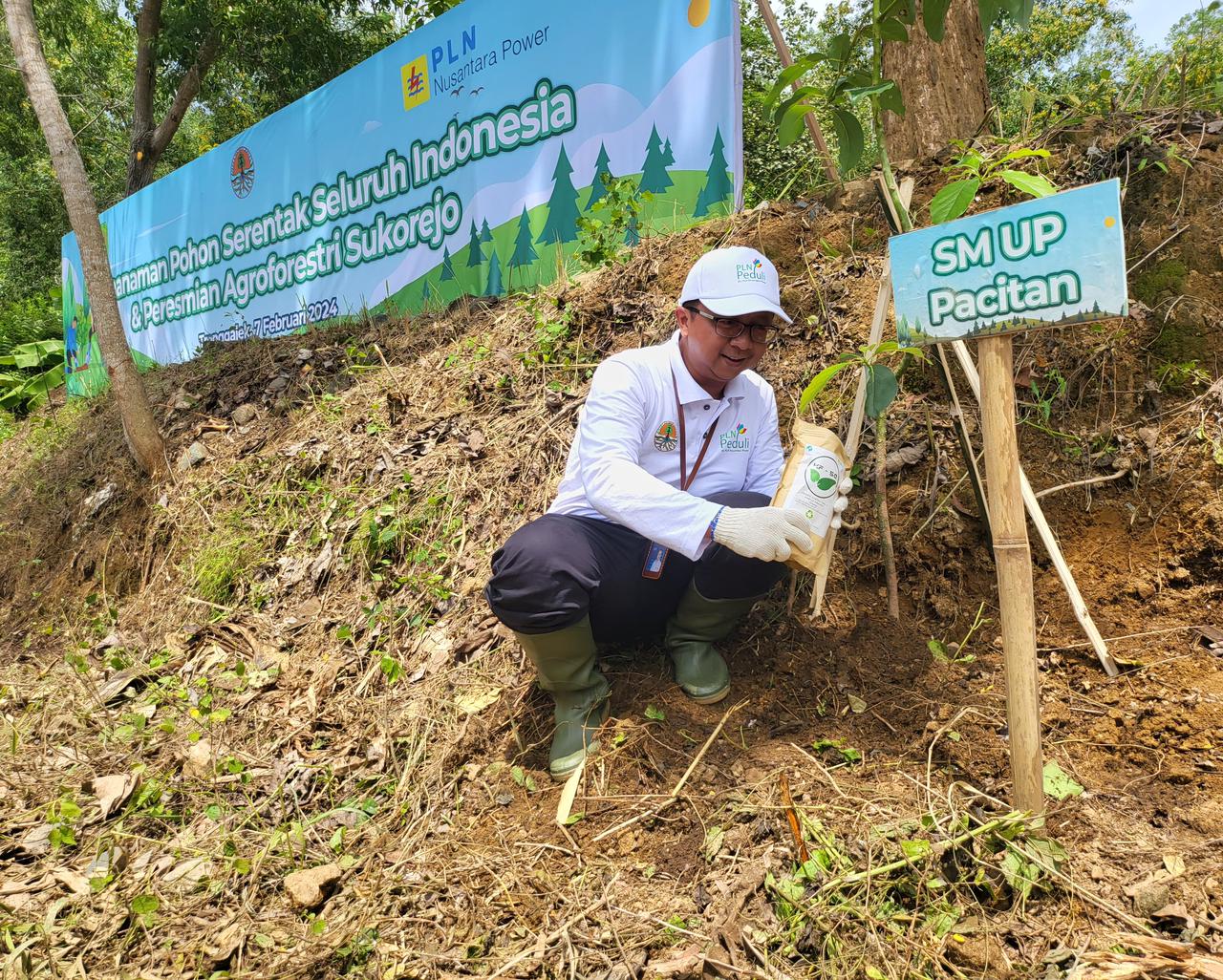SEMANGAT : Abdi Nafi Senior Manajer PLN Nusantara Power UP Pacitan saat melakukan penanaman pohon.