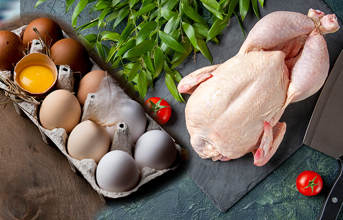 Ilustrasi: telur dan daging ayam