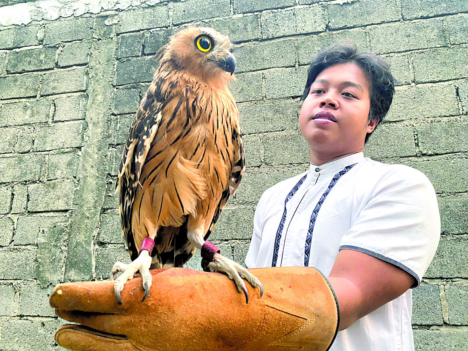 JINAK: Yuwan Irmanto menunjukkan salah satu burung hantu miliknya jenis Tyto alba.