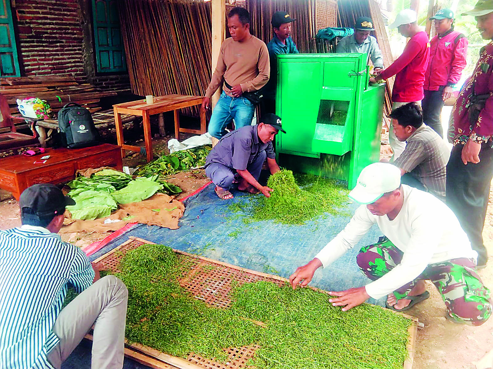 HARUM: Petani merajang tembakau menggunakan mesin sederhana di wilayah Kecamatan Nglegok, kemarin (2/4).