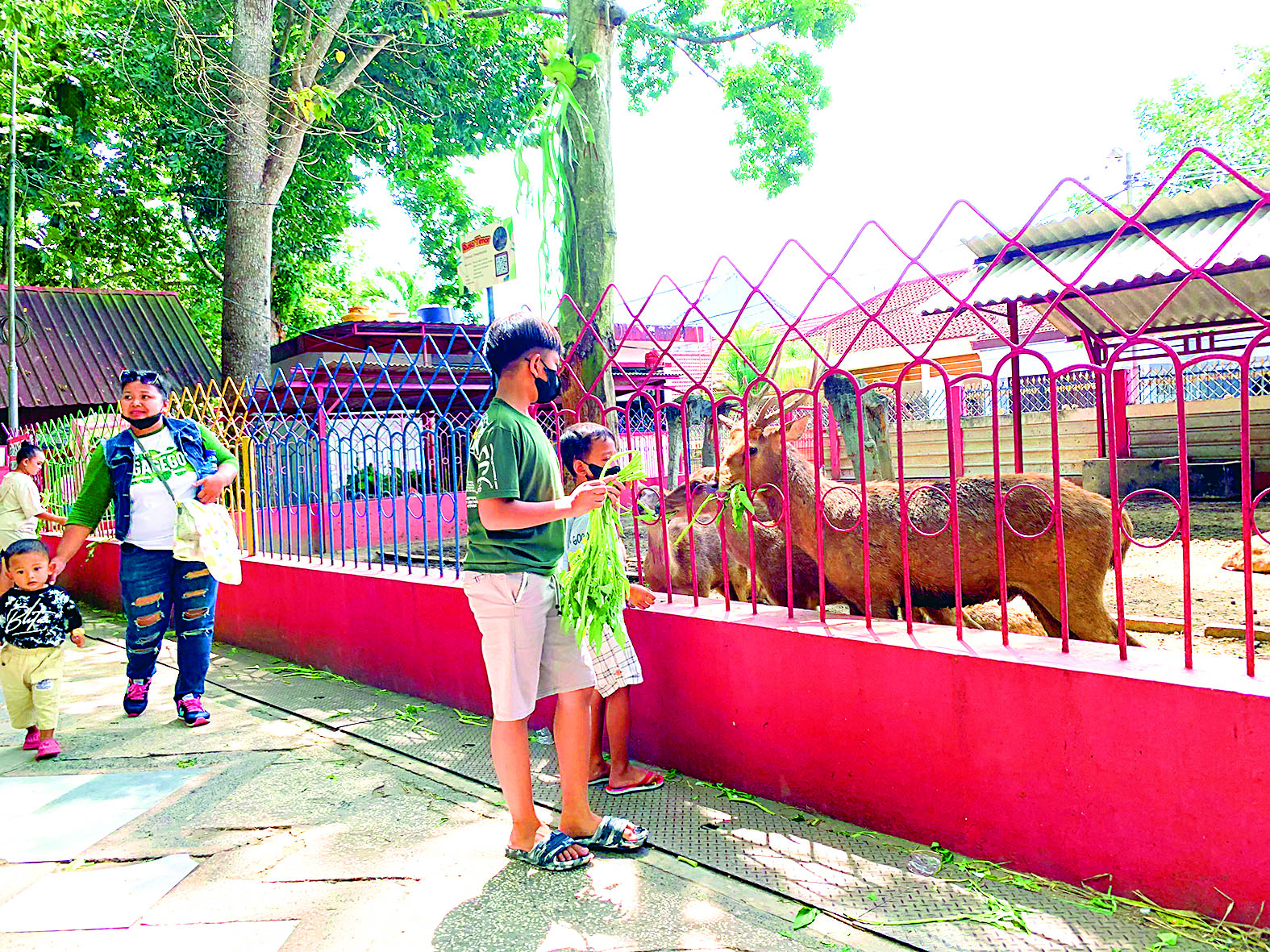 WISATA MURAH: Pengunjung Taman Kebonrojo menikmati wahana dan spot di dalam taman. Salah satunya, memberi pakan rusa.