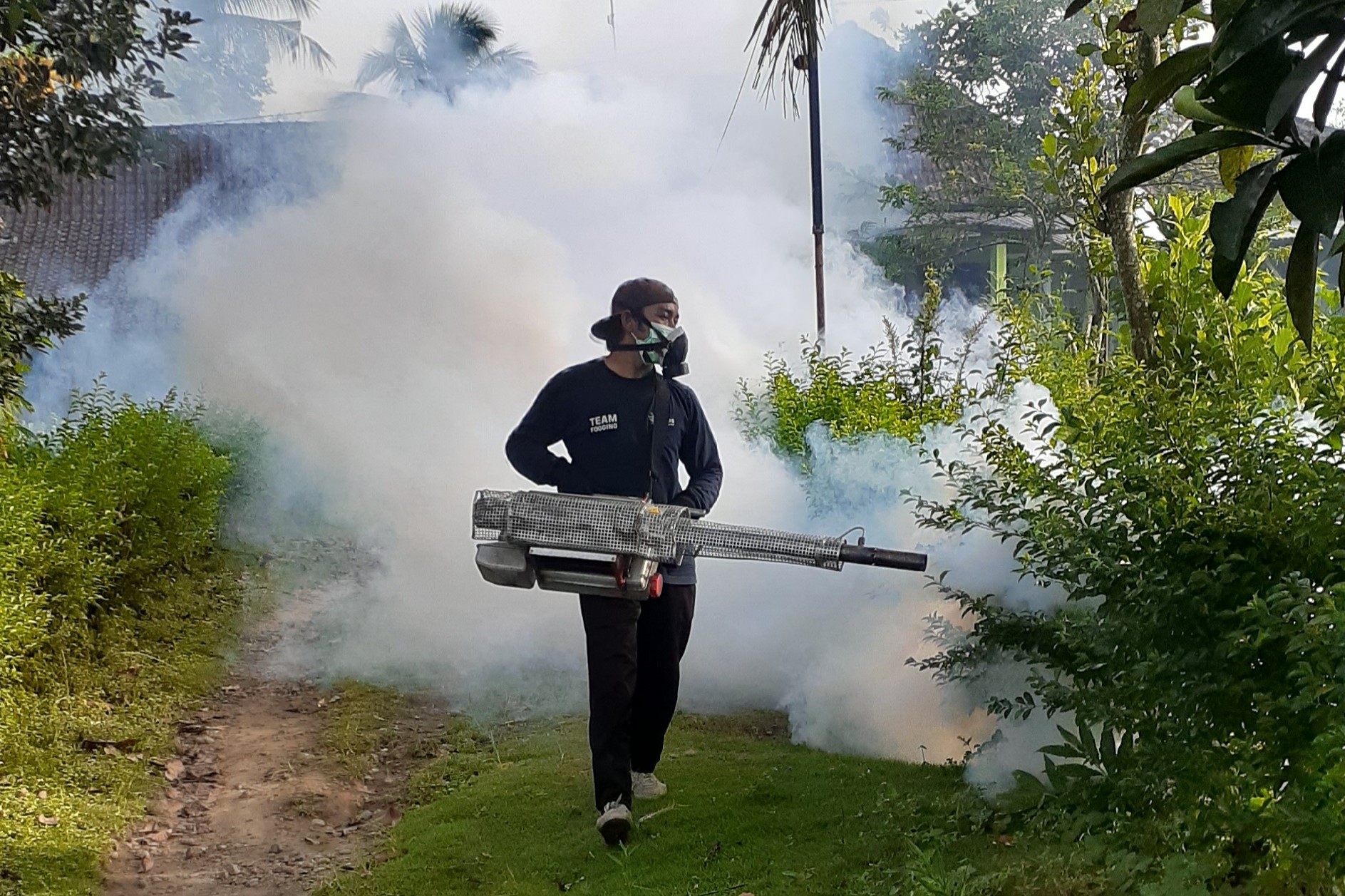Petugas menyemprotkan fogging untuk membasmi nyamuk penyebab DBD