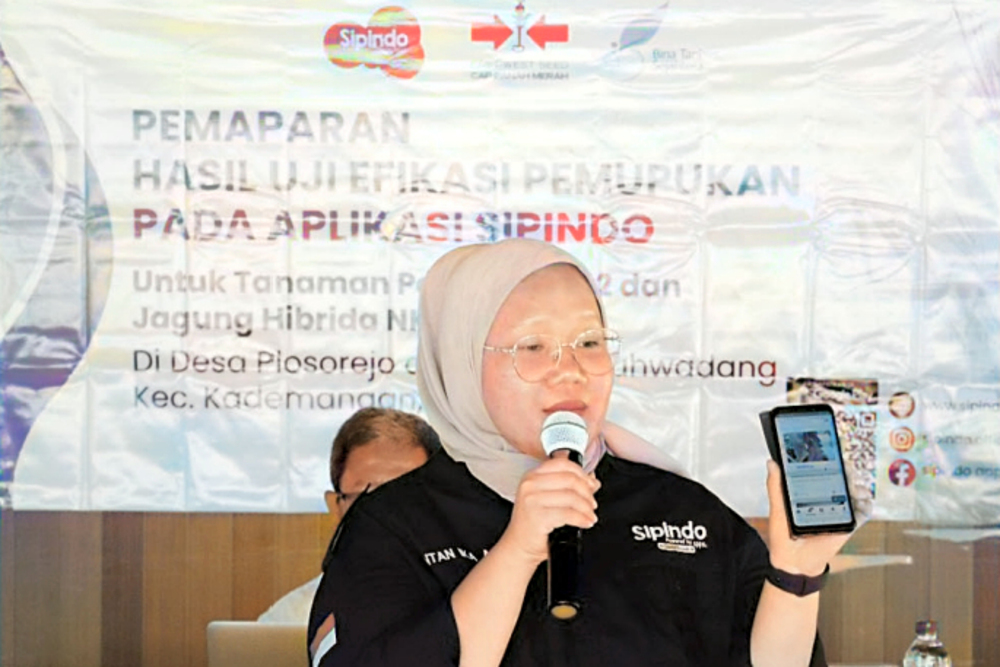 SOLUSI PETANI: Project koordinator SIPINDO, Intan Ika Apriani memberikan hasil pengujian demplot ke petani Desa Plosorejo, Kecamatan Kademangan, Kabupaten Blitar,(23/4/2024).