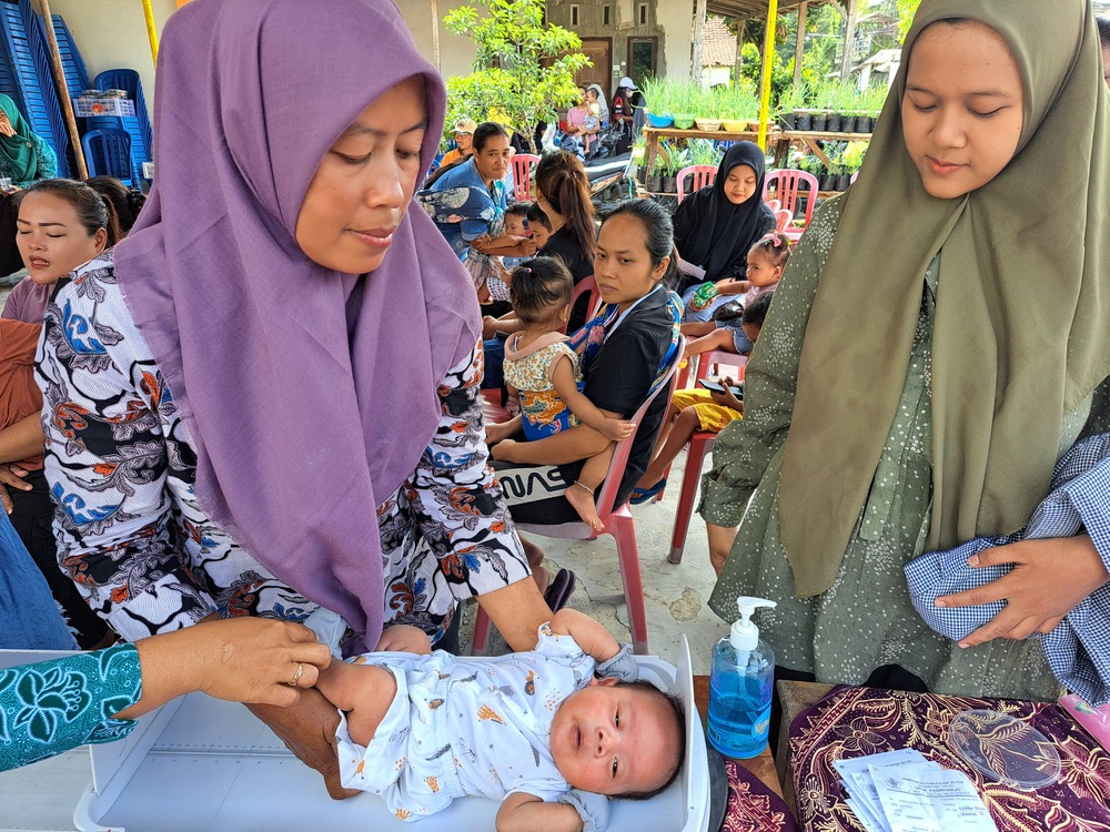 Balita yang ditimbang di posyandu untuk menghindari angka stunting