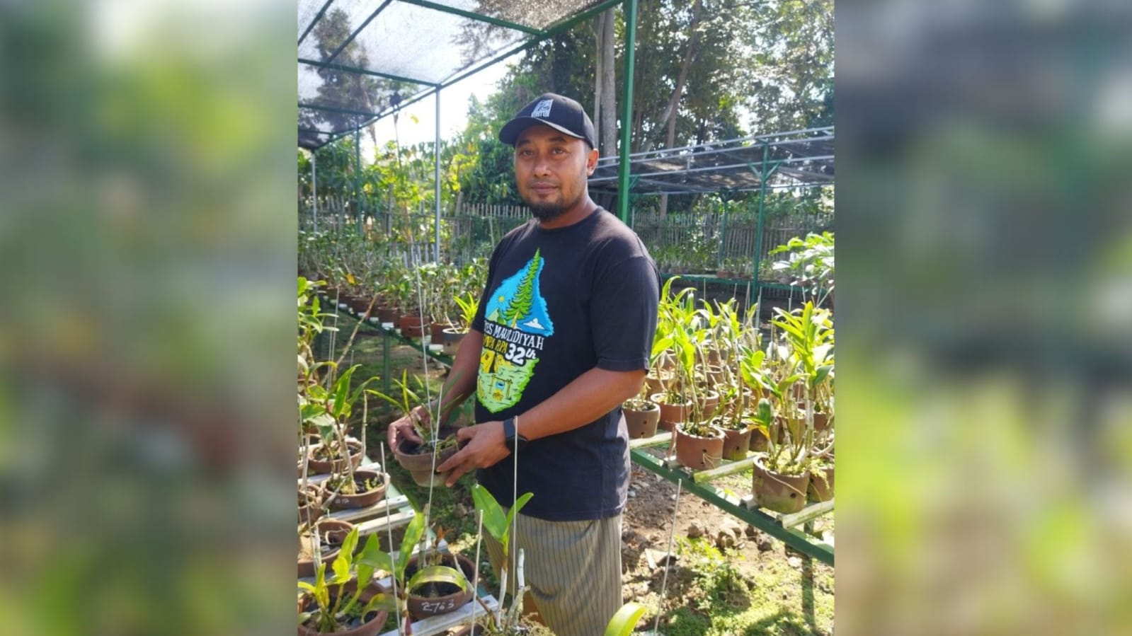 POTENSI CUAN: Samsul Anwar ketika berada di kabun anggrek miliknya.