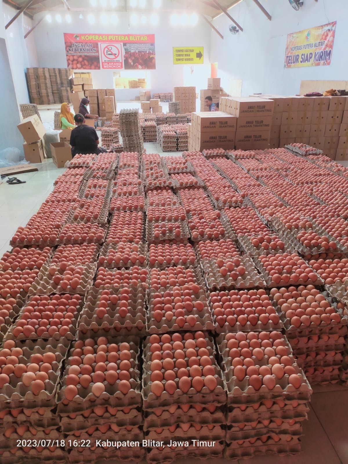 PROSES KEMAS: Telur ayam yang dihasilkan oleh para anggota Koperasi Putera Blitar.