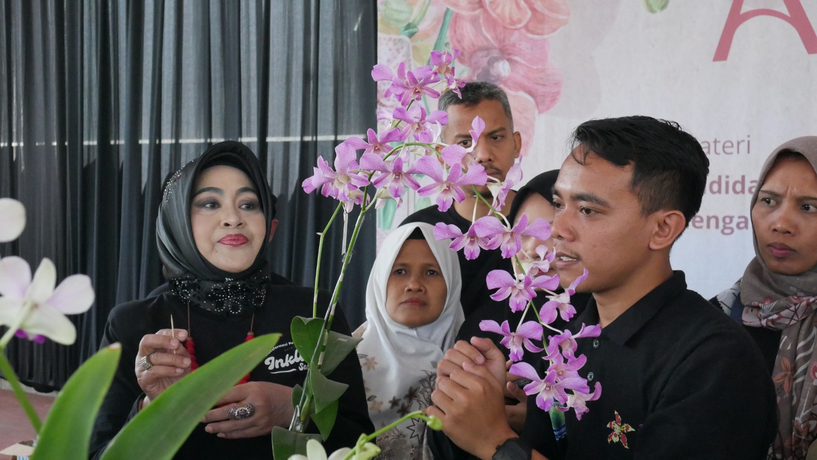 CANTIK: Dendrobium stratiotes orchid, salah satu anggrek hasil teknik budidaya kultur jaringan.