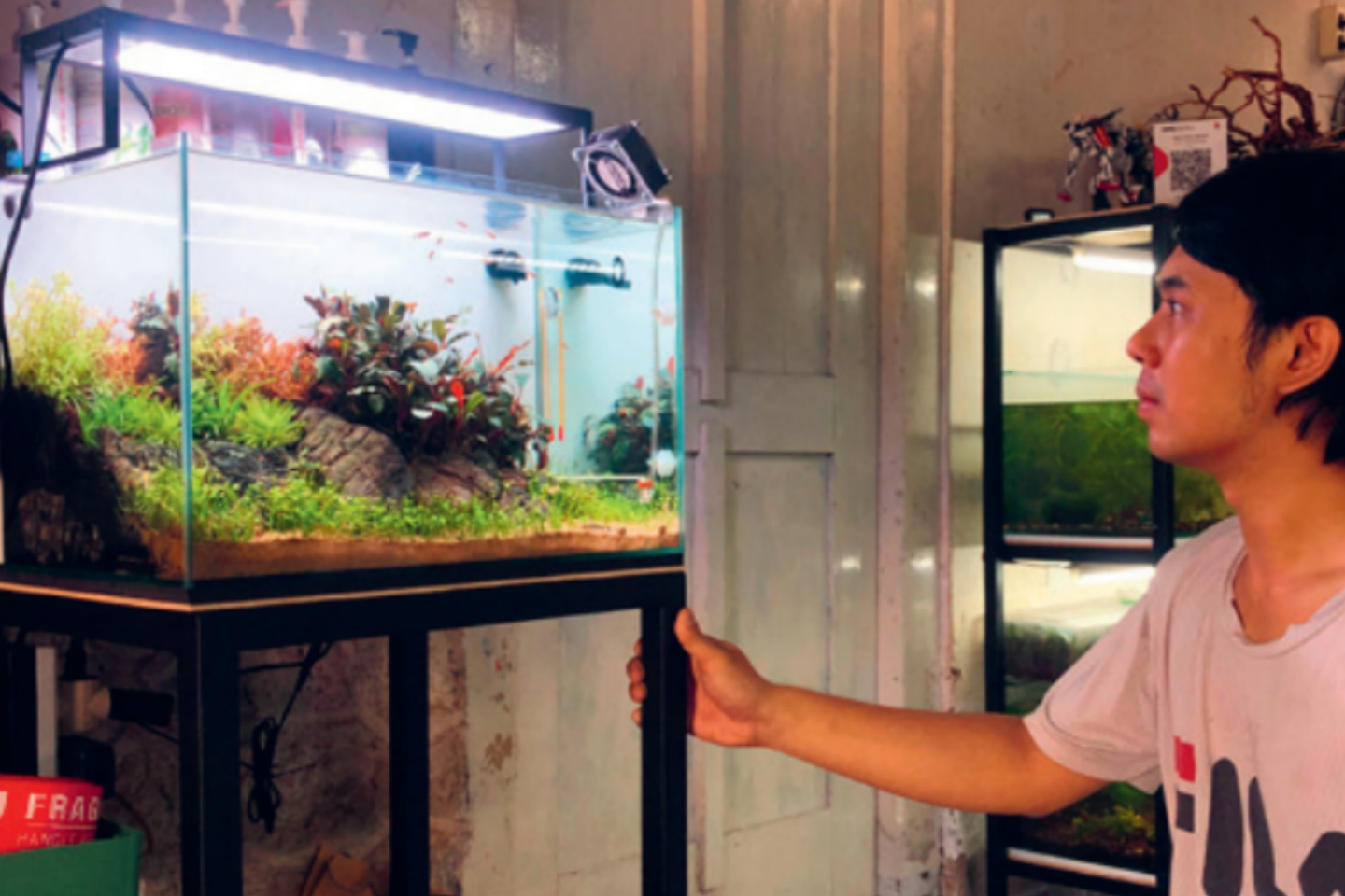 MEMANJAKAN MATA: Aquascape yang ditata sedemikian rupa bisa memberikan efek rileks.