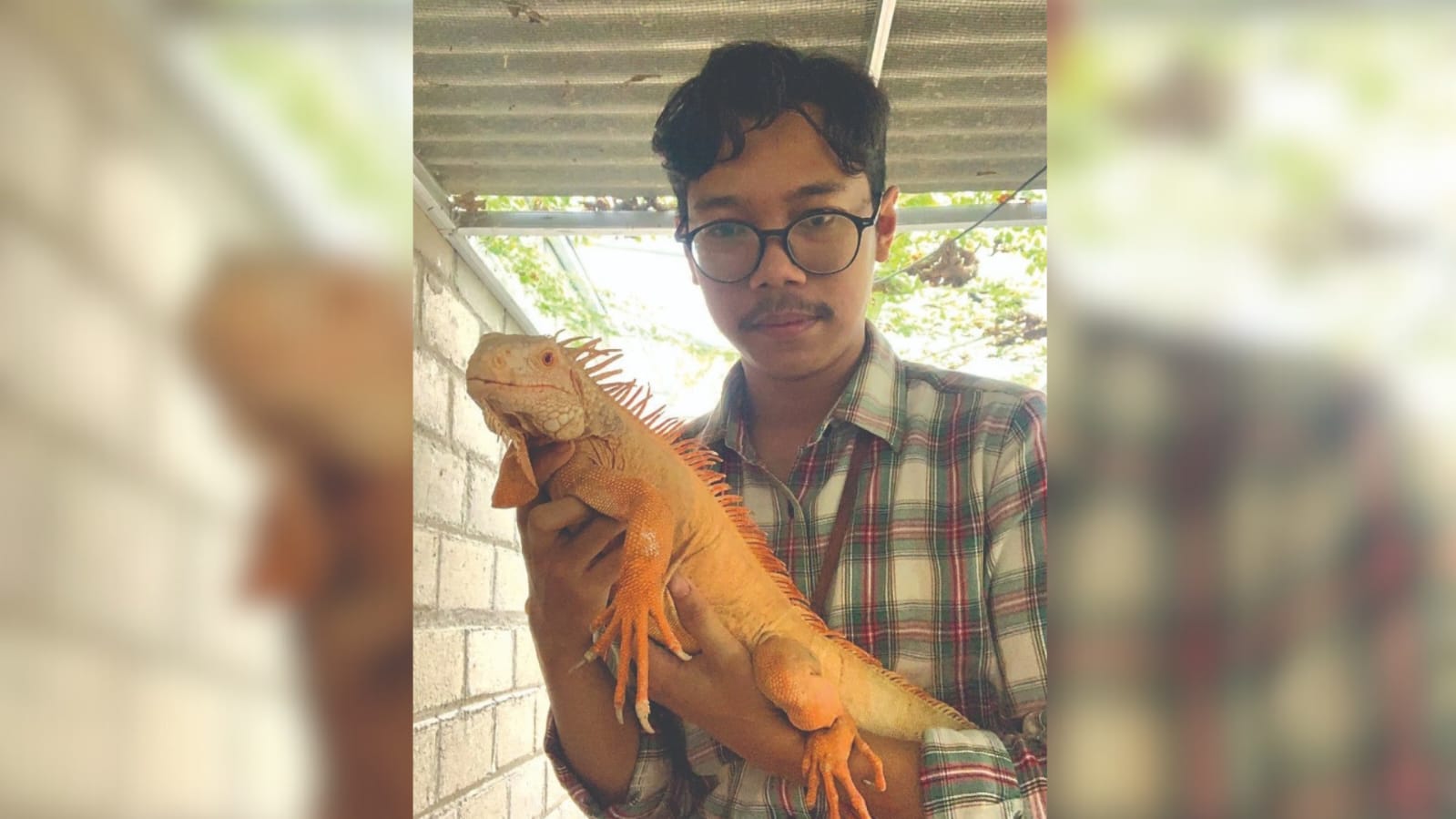 TELATEN: Daffa sedang melakukan perawatan rutin untuk iguana yang dimiliki.