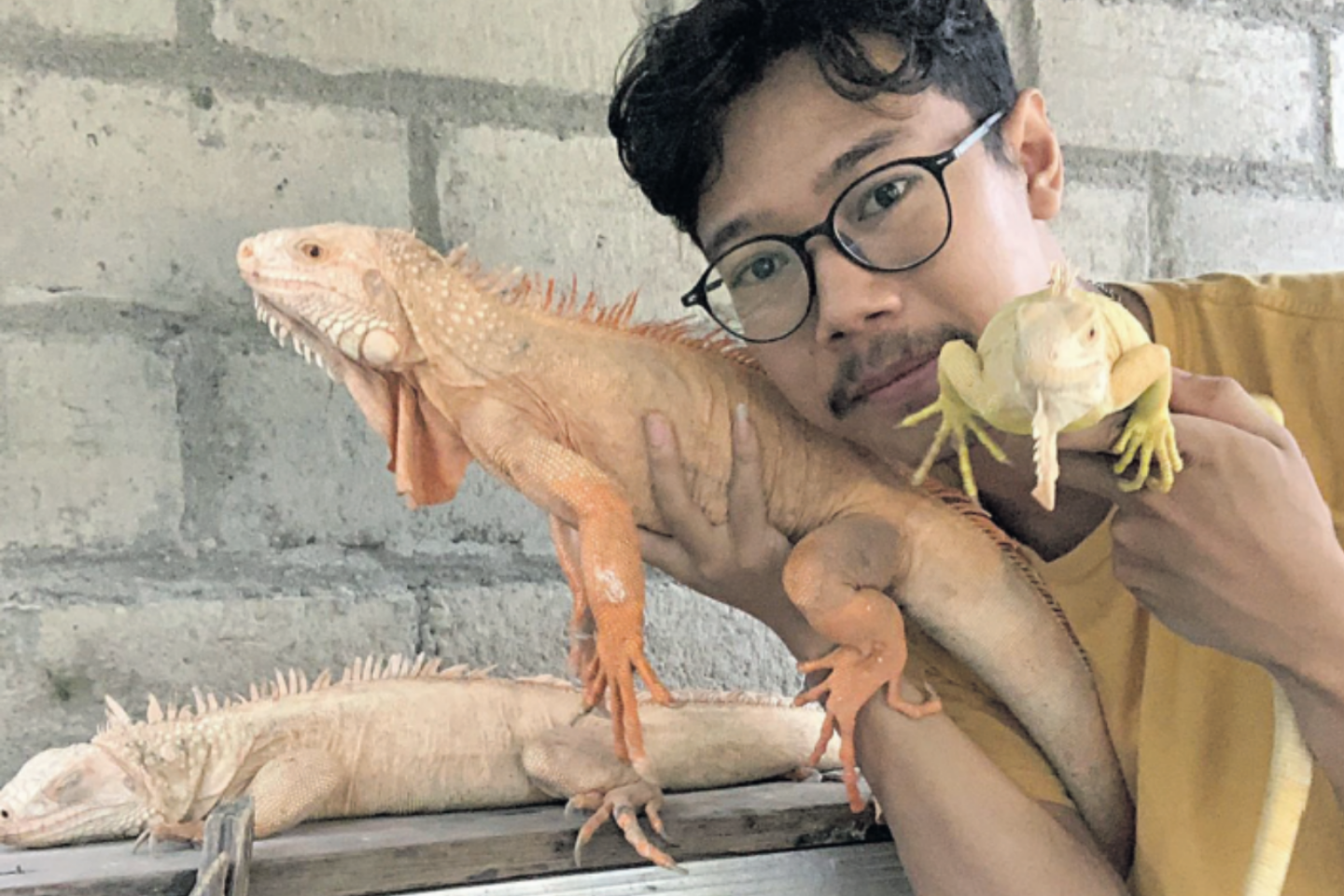 TELATEN: Daffa Claude Goy C menunjukan beberapa jenis iguana kesayangannya.
