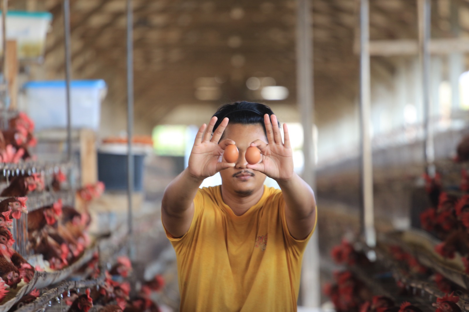 TERDAMPAK: Peternak ayam petelur menunjukkan telur hasil produksi sebelum disortir untuk dijual ke pasaran, Selasa (8/10). Komoditas ini memiliki andil paling besar untuk menyumbang inflasi.