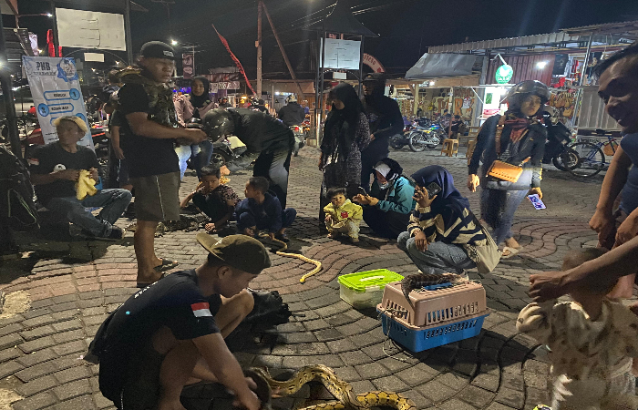 EDUKASI: Antusiasme pengunjung saat berinteraksi dengan satwa reptil di area citywalk Makam Bung Karno, Sabtu (5/10/2024).