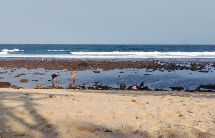 Pasang surut Pantai Banteng, tunjukkan indahnya pemandangan terumbu karang