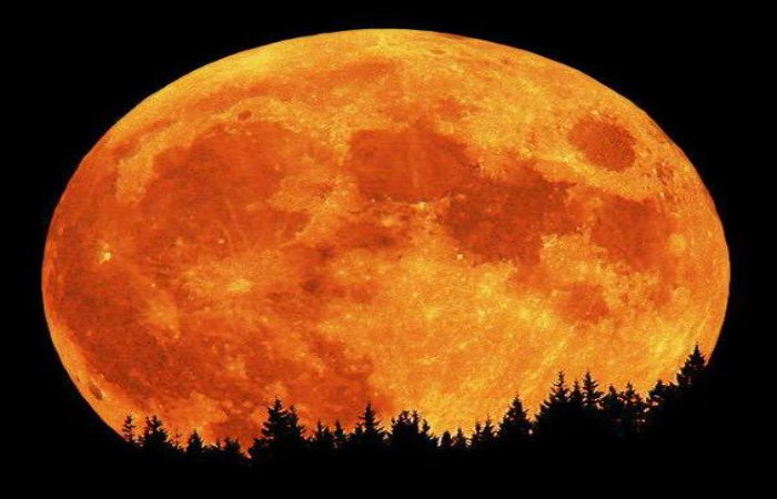 Hunter Moon Bulan Purnama yang Memikat di Bulan Oktober.(pinterest)