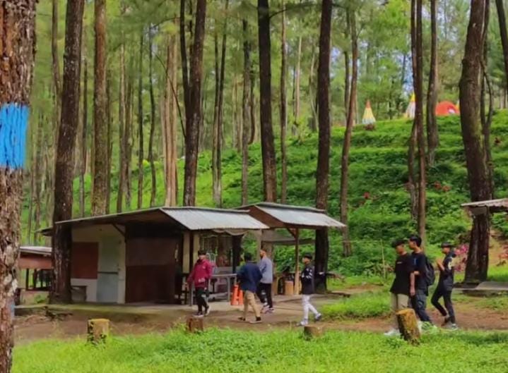 Sekelompok anak muda berwisata di hutan pinus loji