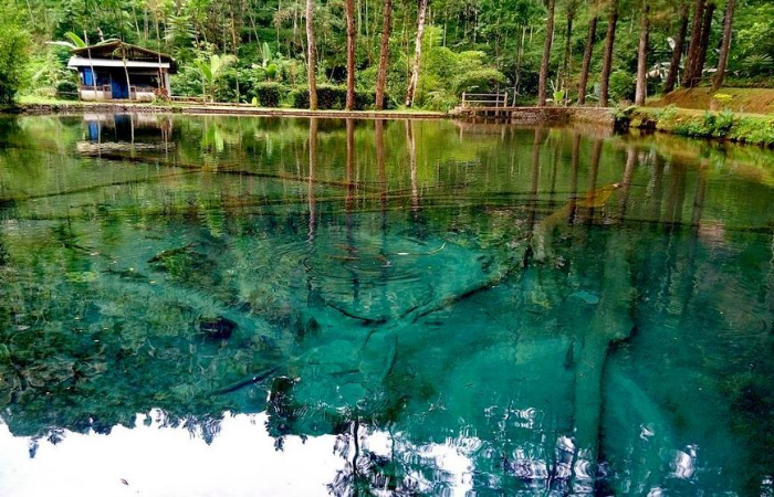 Telaga Rambut Monte menawarkan pemandangan alam yang asri dan memanjakan mata. (internet)