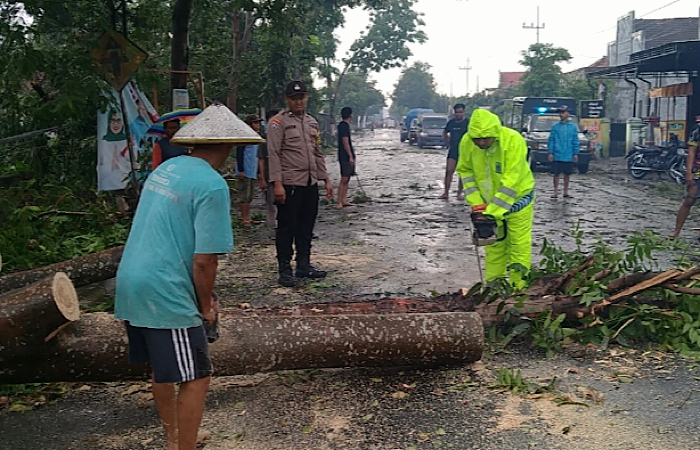 SINERGI: Warga dan polisi ketika mengevakuasi pohon tumbang akibat angin kencang, Jumat (2/11/2024)