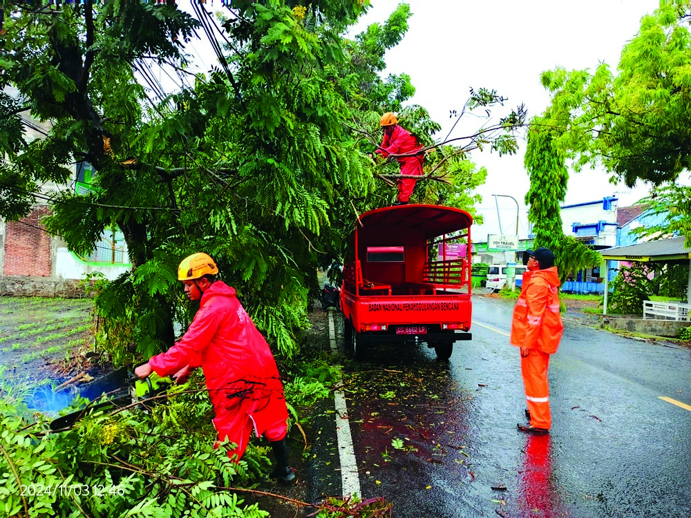 SIAGA: Petugas BPBB melakukan pemangkasan pada sejumlah dahan dan ranting pohon di pinggiran jalan memasuki musim penghujan.