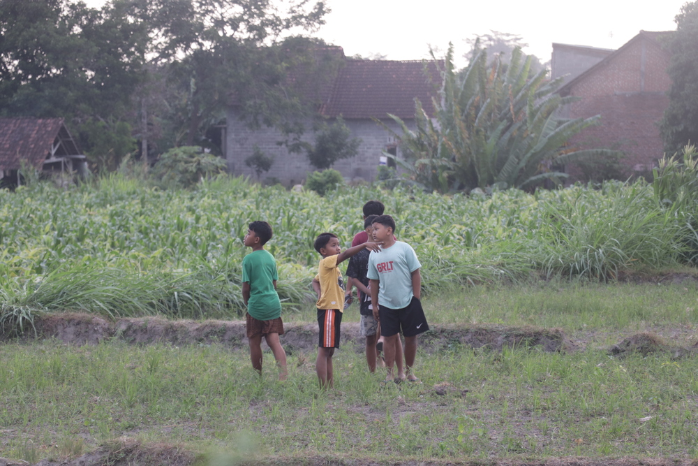 Anak kecil bermain di sawah