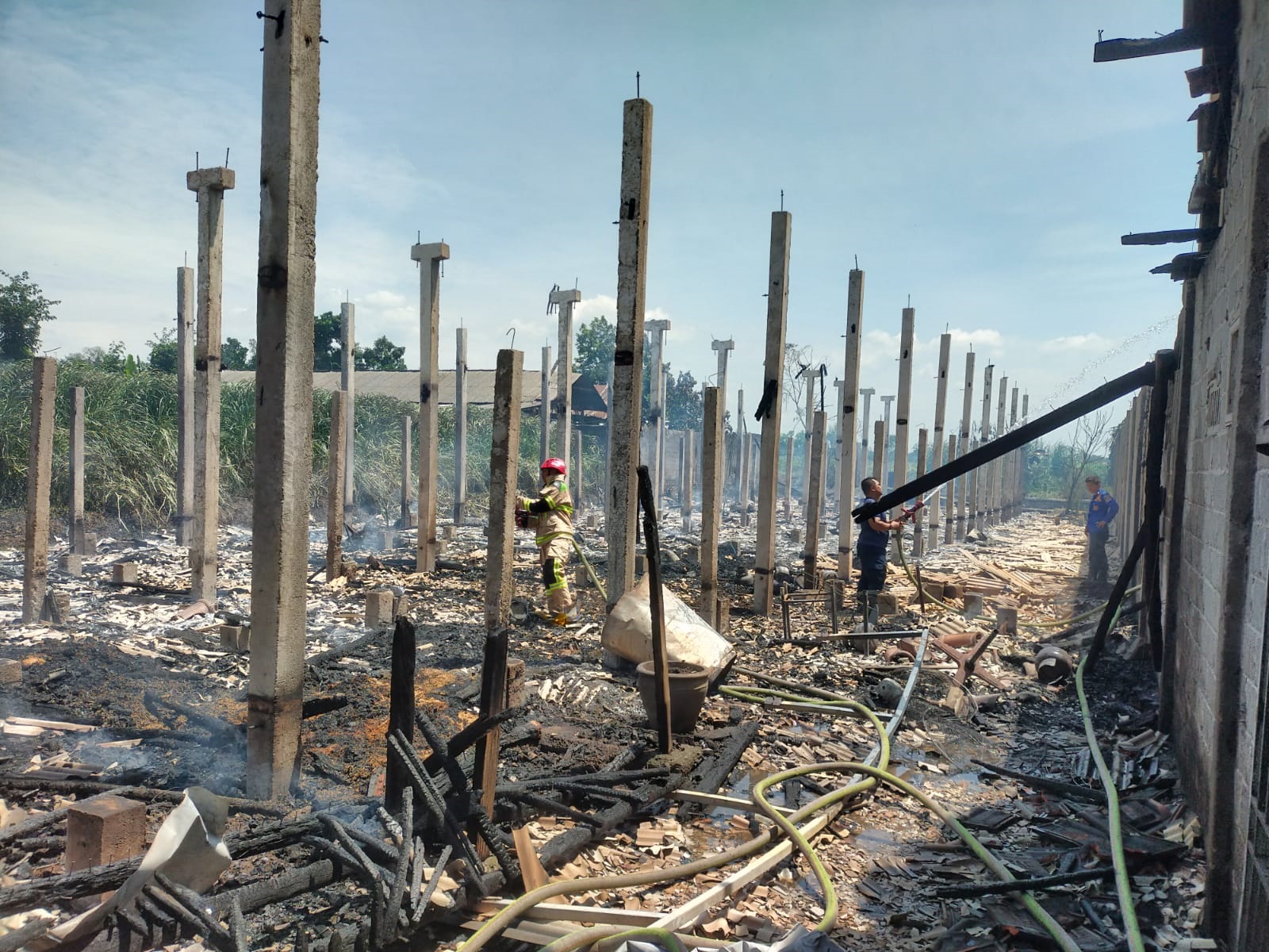 Kandang ayam hangus terbakar