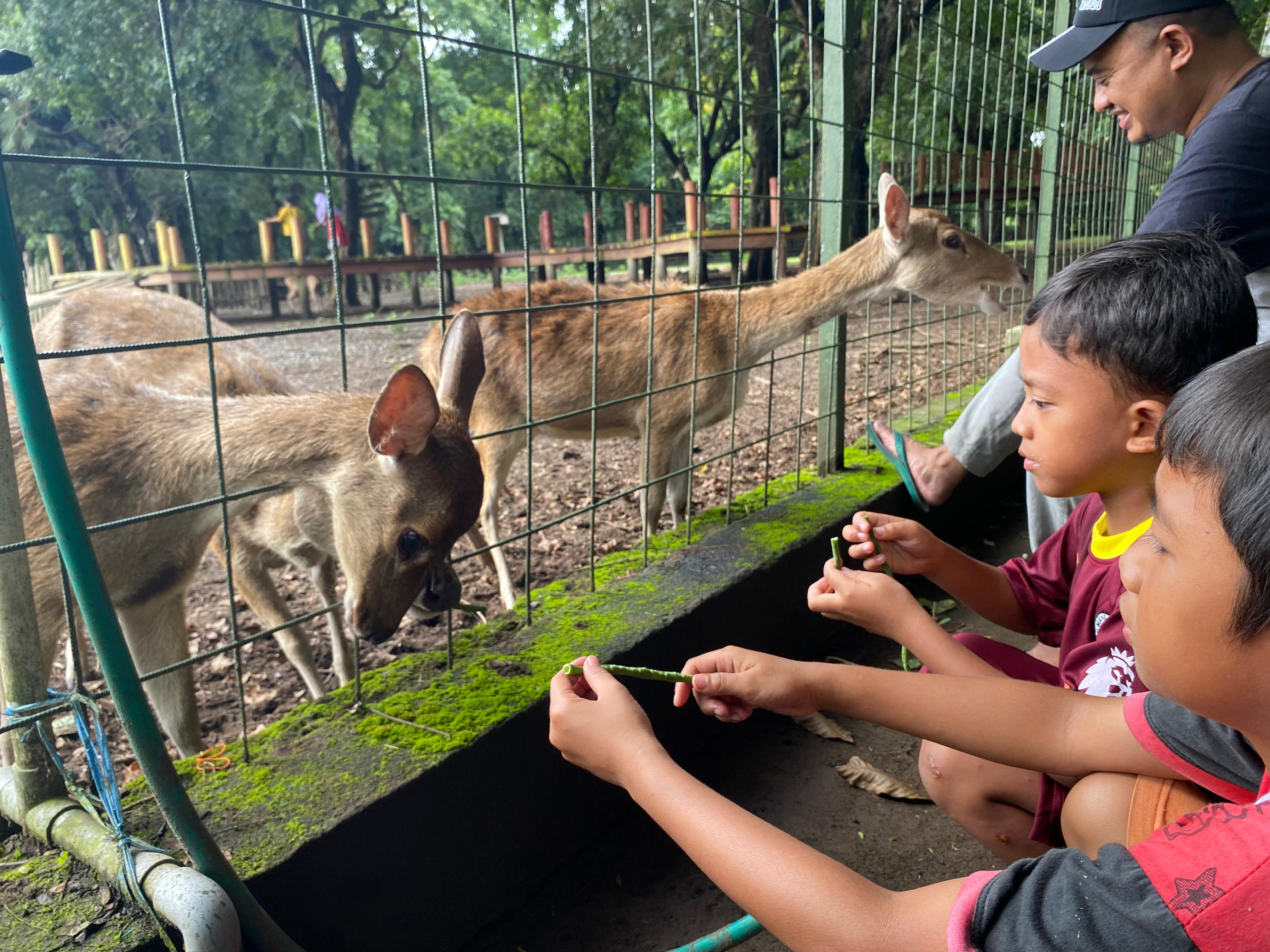ISI LIBURAN: Bocah ketika berkunjung ke wisata Kesambi Trees Park (22/12).