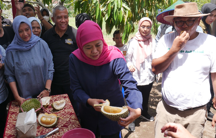 POTENSI EKONOMI: Gubernur Jawa Timur Terpilih, Khofifah Indar Parawansa dan Anna Luthfie ketika menikmati durian black thorn Blitar, Jumat (27/12).