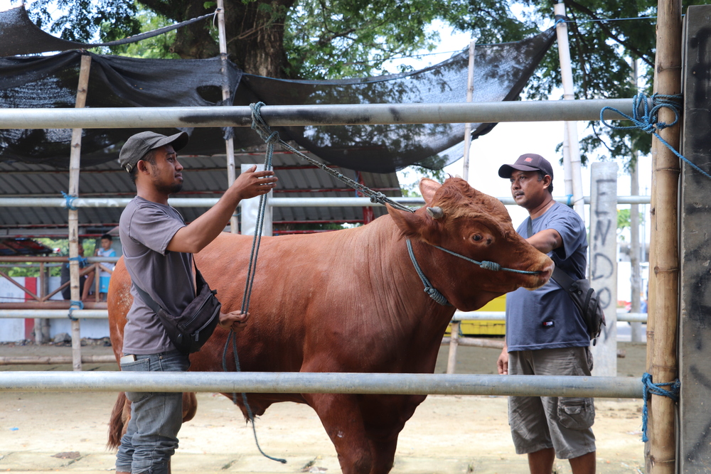 JANGAN SAMPAI STRES: Pedagang di Pasar sapi Dimoro Kota Blitar beberapa waktu lalu.