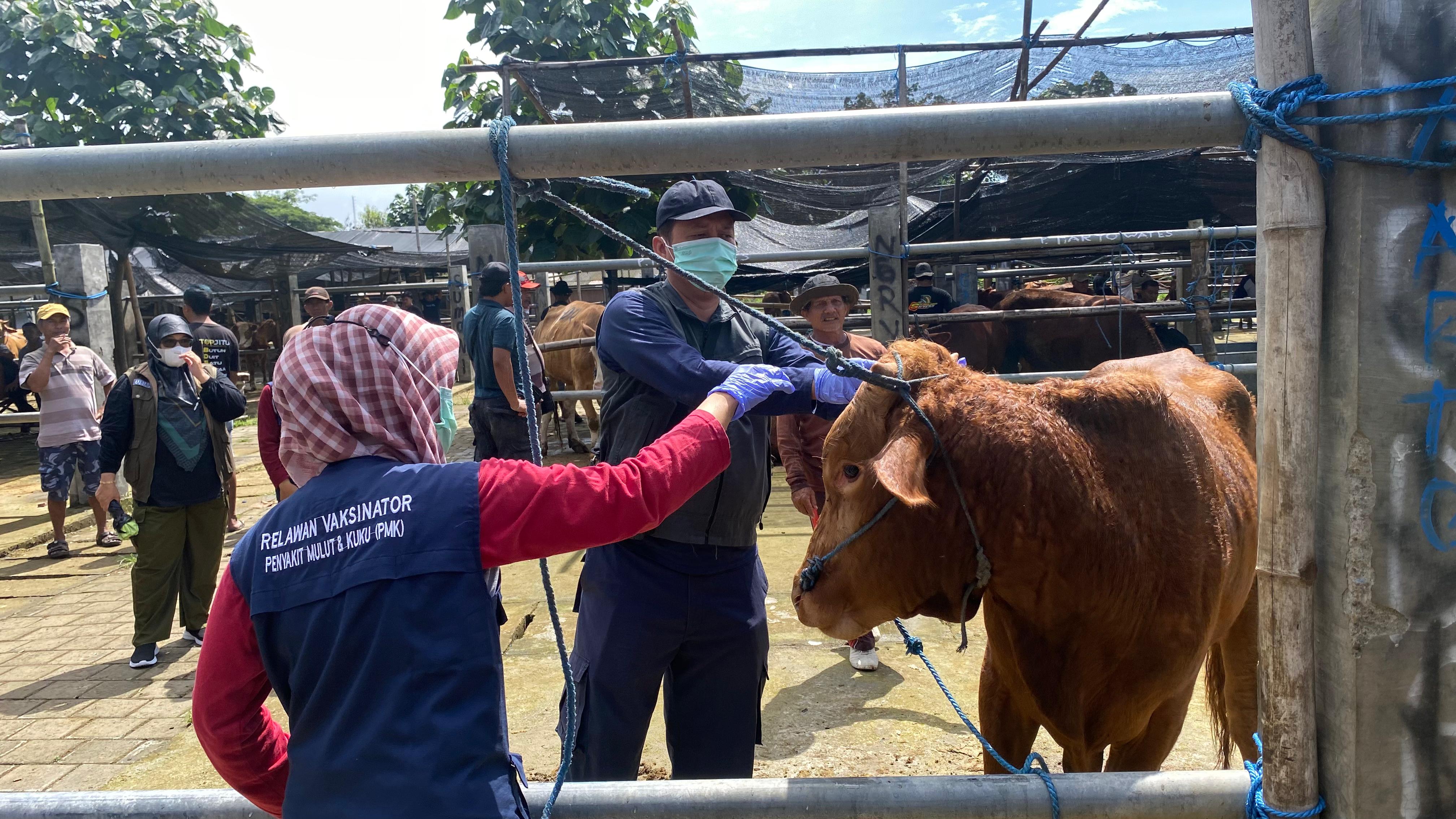 TEKAN PENYEBARAN: Pemeriksaan ketat terus dilakukan oleh petugas kesehatan DKPP Kota Blitar terhadap hewan di Pasar Dimoro.