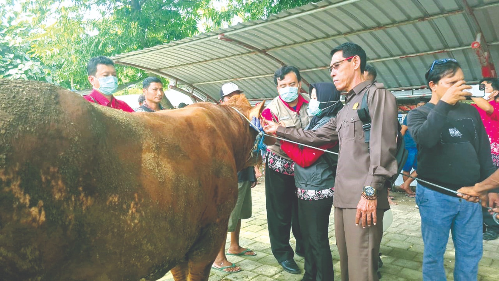TERUS MEREBAK: Kasus akibat wabah PMK di Kota Blitar terus bertambah. Kini telah capai 24 kasus.