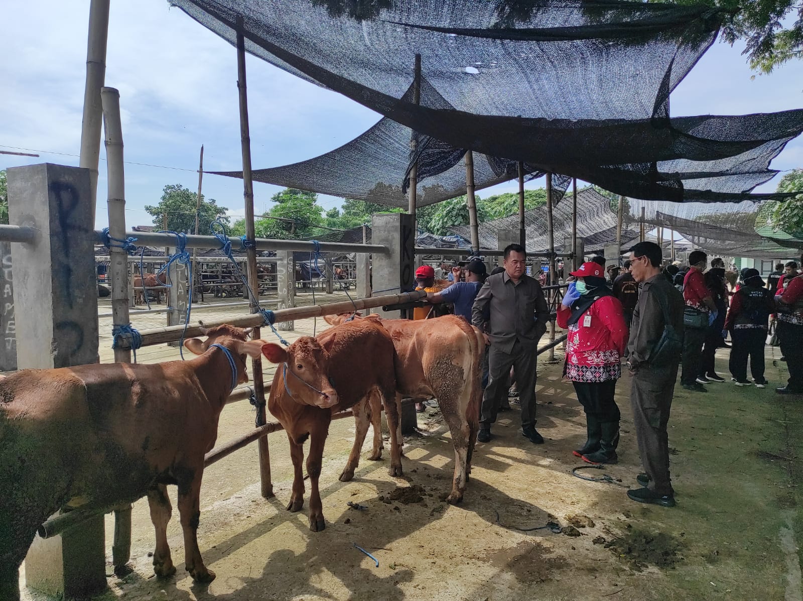 PASTIKAN KEAMANAN: Komisi II DPRD Kota Blitar mengecek langsung kondisi di Pasar Dimoro Kota Blitar di tengah wabah PMK yang makin meningkat.